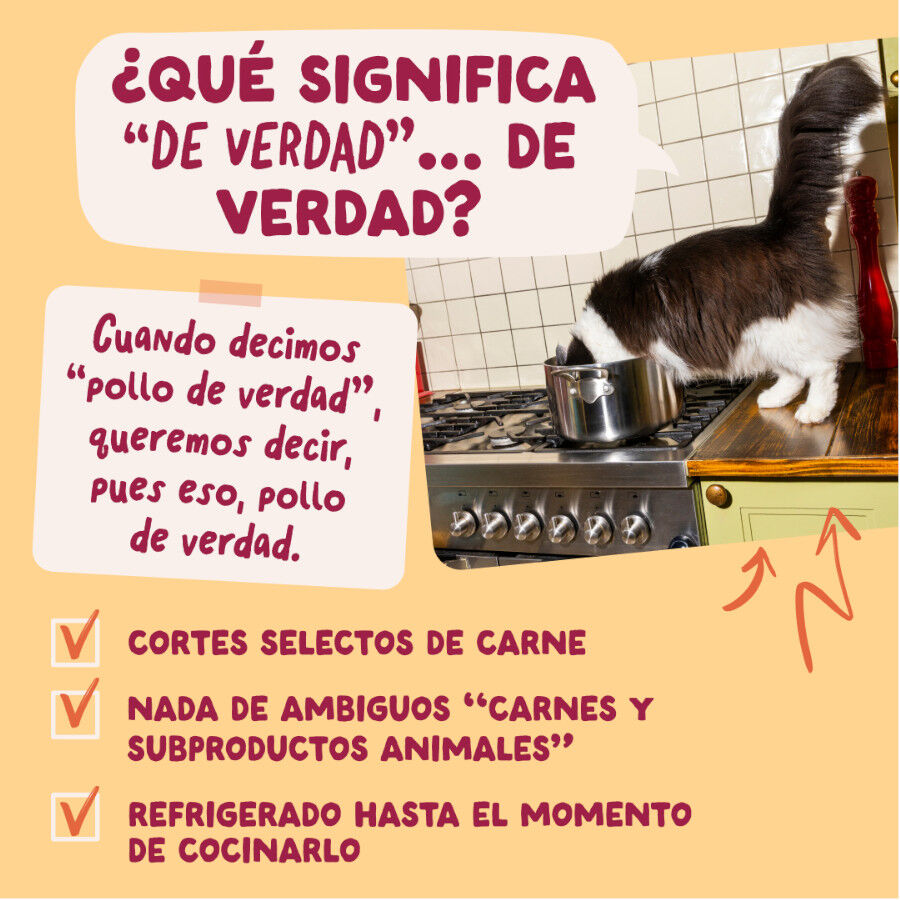 85 g Edgard & Cooper Pollo sobre en salsa para gatos, , large indicador imagen numero 5