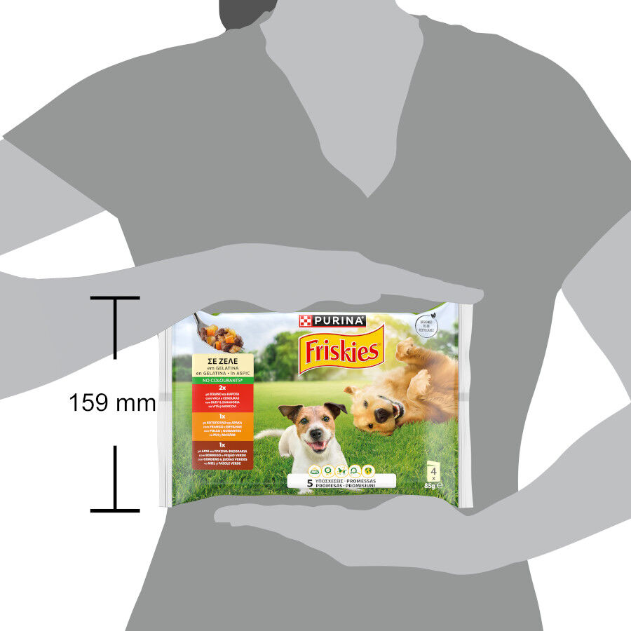 12 sobres x 85 g Friskies Pollo y Cordero en Gelatina sobre para perros, , large Imagen numero 2