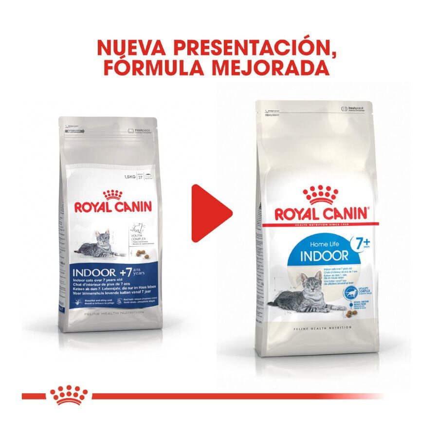 3.5 kg Royal Canin Home Life Indoor 7+ pienso para gatos, , large Imagen numero 3