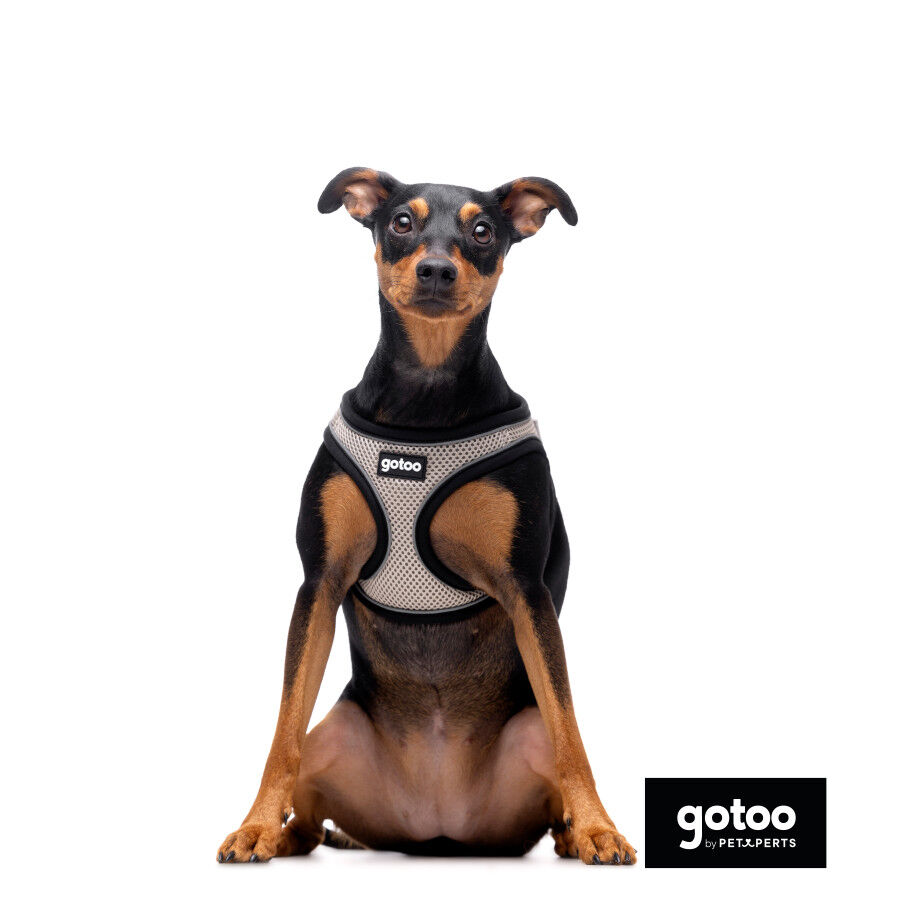 Gotoo Arn&eacute;s ajustable de malla  gris para perros
