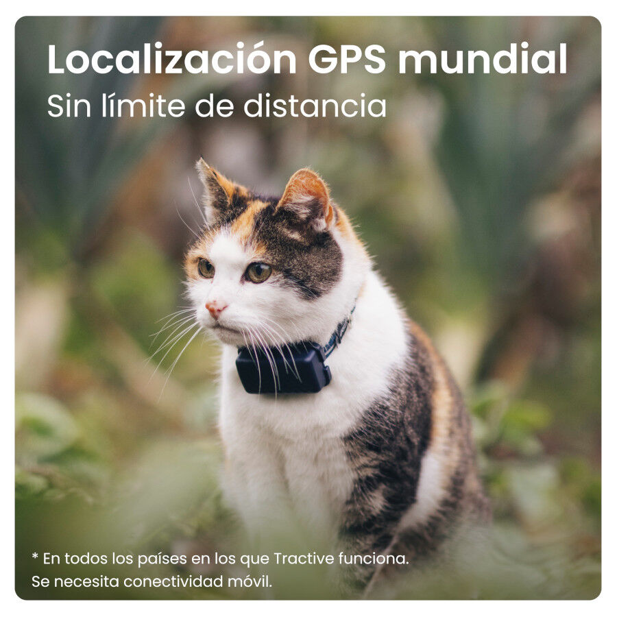 Tractive Localizador GPS para gatos, , large Imagen numero 4