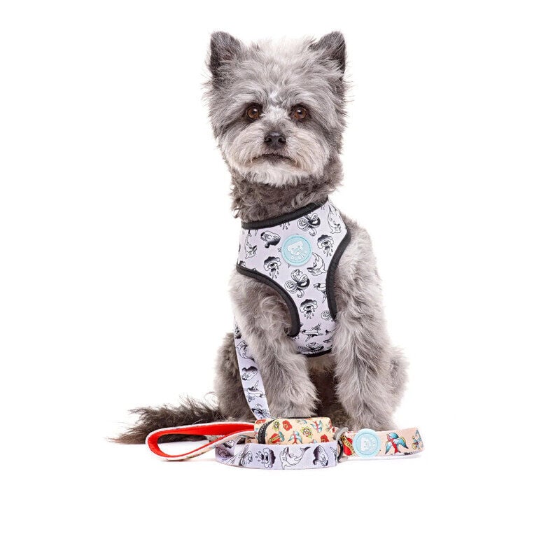 Dukier Arn&eacute;s Reversible Estampado Tattoo para perros, , large Imagen numero 4