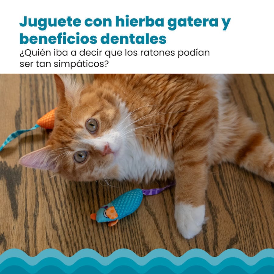 Catstages Chew Rat&oacute;n con Catnip para gatos, , large Imagen numero 6