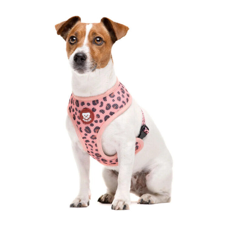 Dukier Arn&eacute;s Reversible Estampado Leopardo para perros, , large indicador imagen numero 2