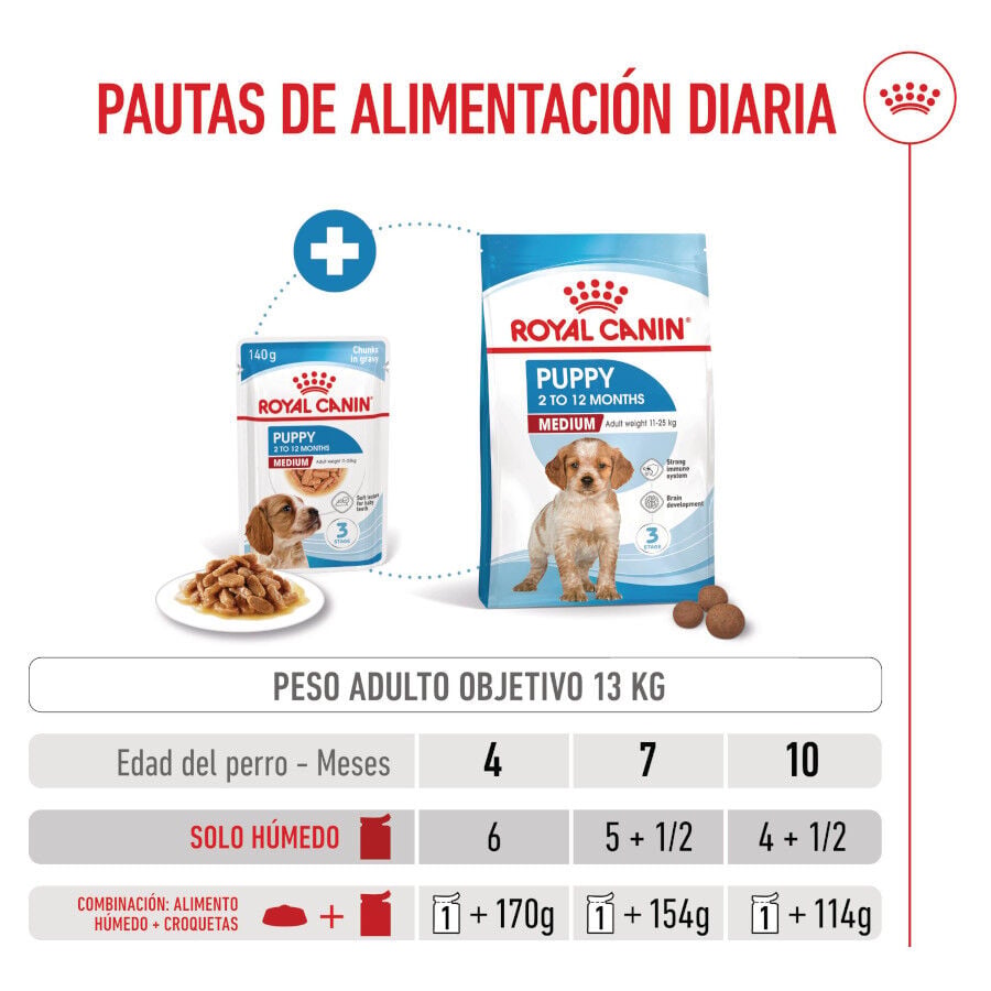 140 g Royal Canin Medium Puppy Sobres, , large Imagen numero 6
