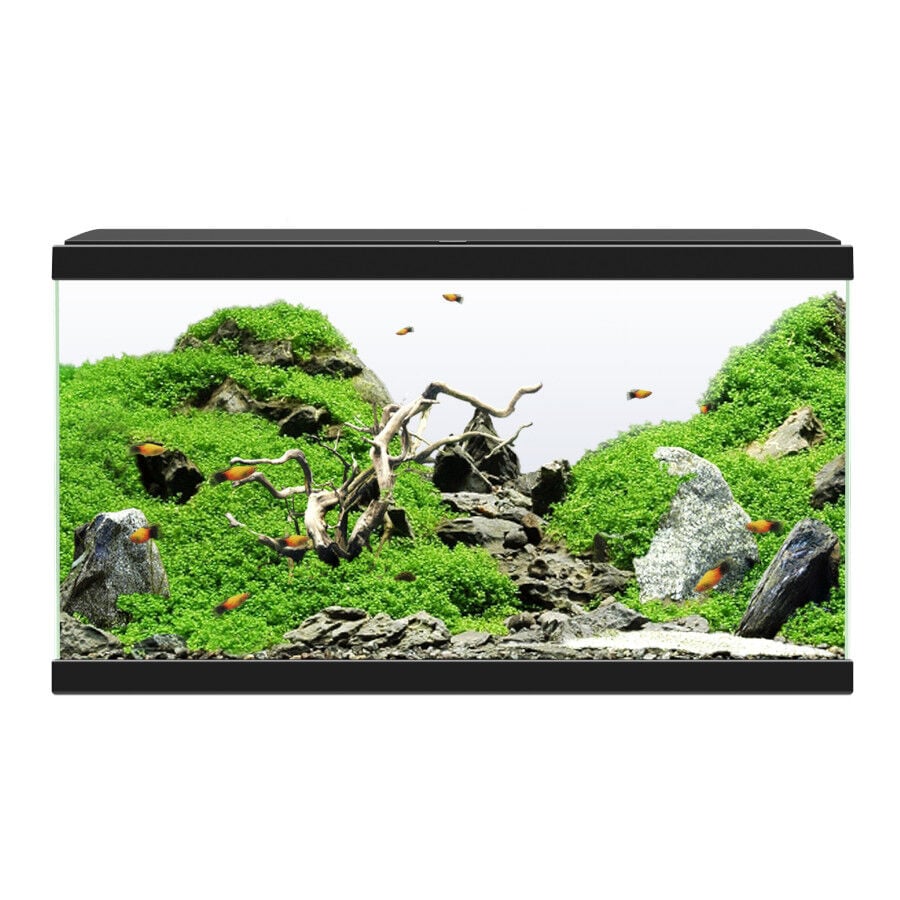 Ciano Aqua Led 60 Negro acuario con luz led, filtro y calentador, , large indicador imagen numero 2