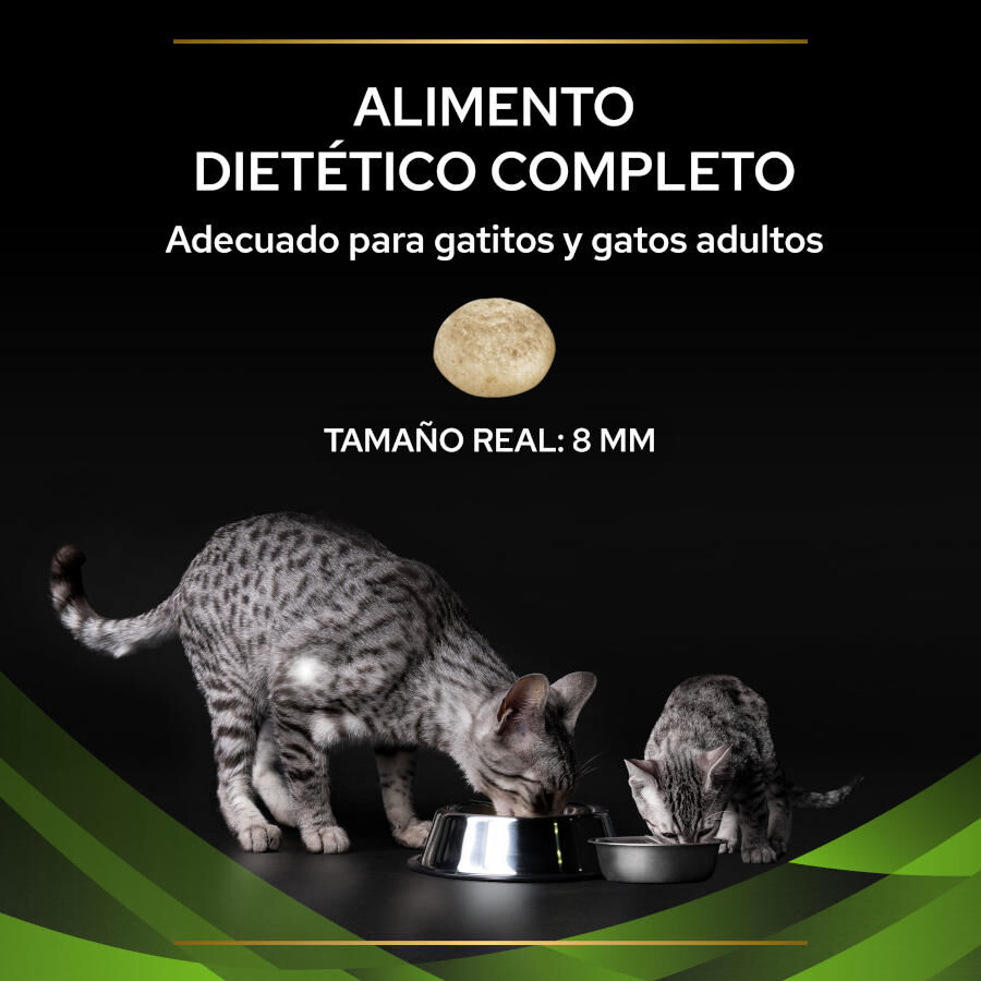 3.5 kg Pro Plan Veterinary Diets Hypoallergenic pienso para gatos, , large Imagen numero 3