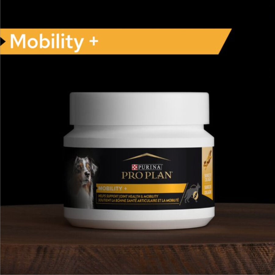 60 g Pro Plan Mobility+ Suplemento para perros, , large indicador imagen numero 2