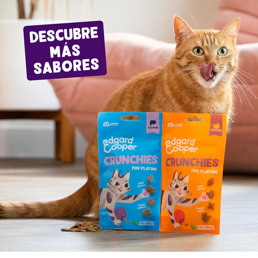 50 g Edgard & Cooper Galletas Crunchies Salmon para gatos, , large Imagen numero 7