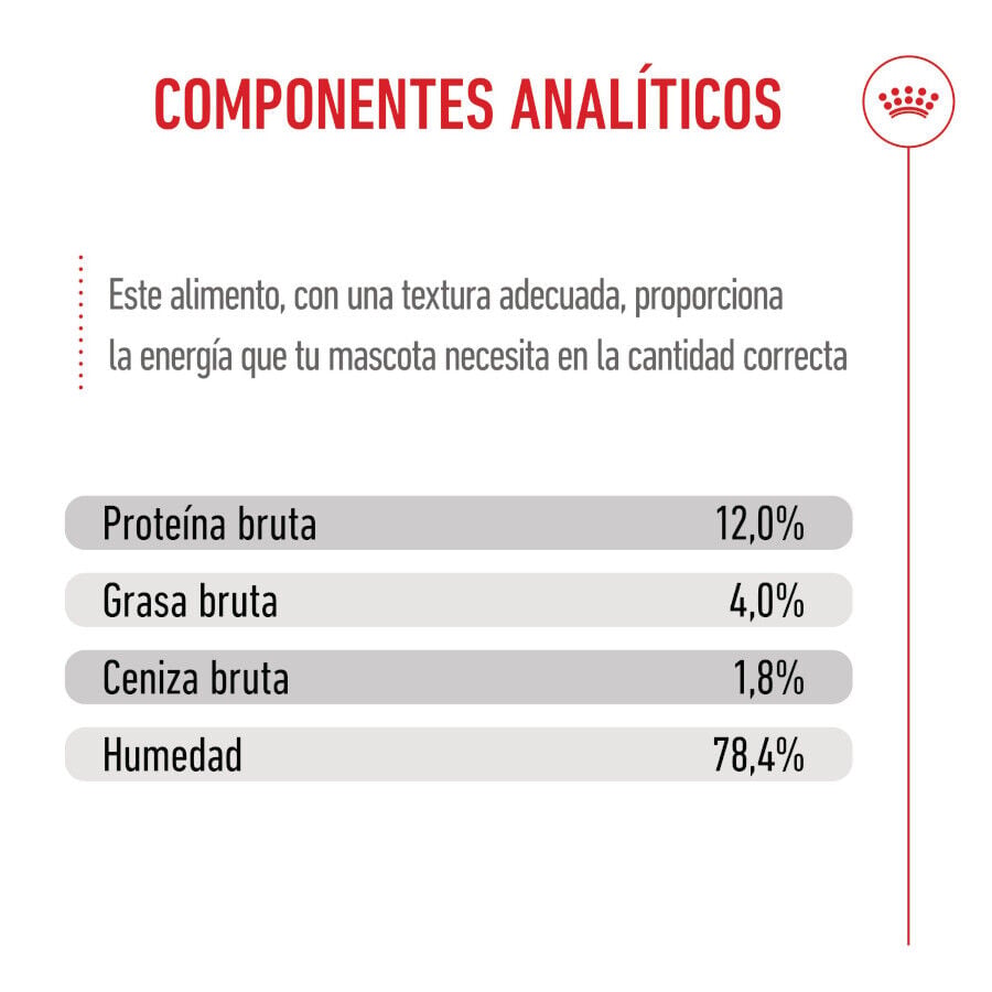 85 g Royal Canin Kitten pat&eacute; sobre para gatos, , large Imagen numero 9