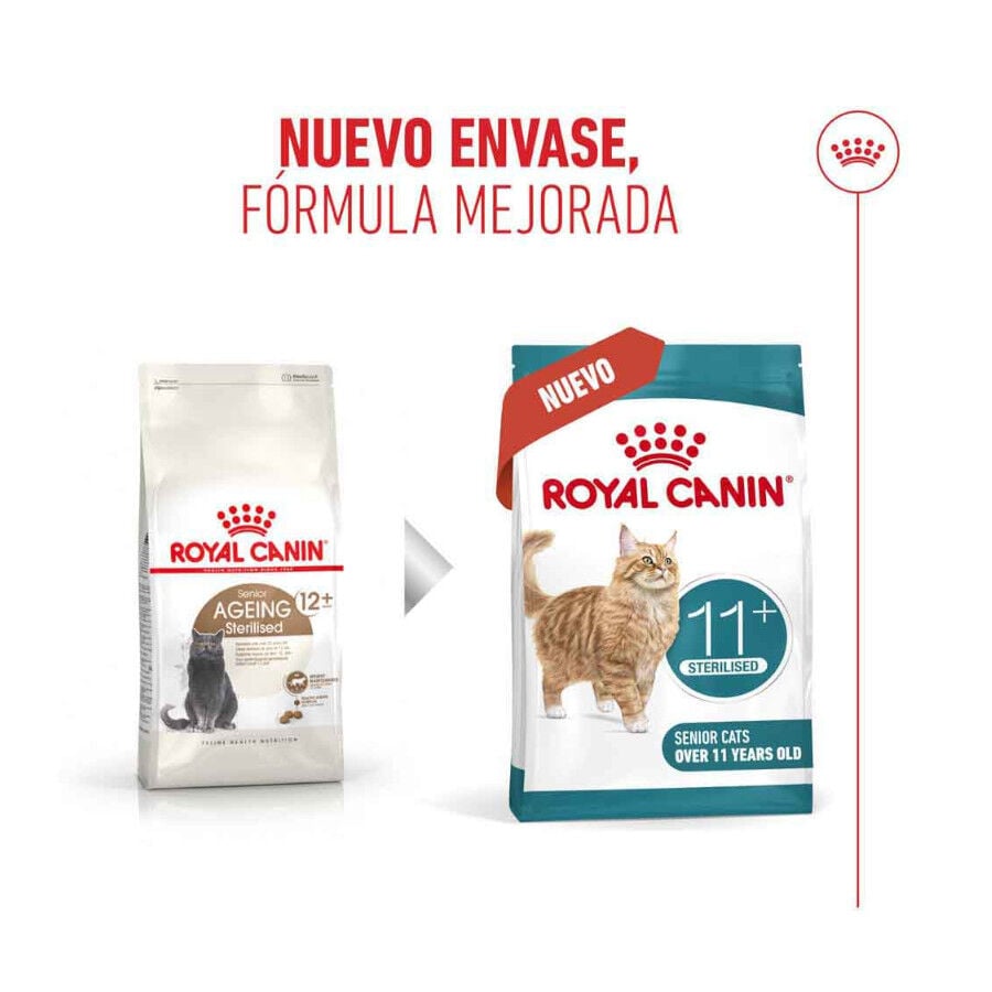 4 kg Royal Canin Ageing 11+ Sterilised pienso para gatos&nbsp;senior, , large indicador imagen numero 3