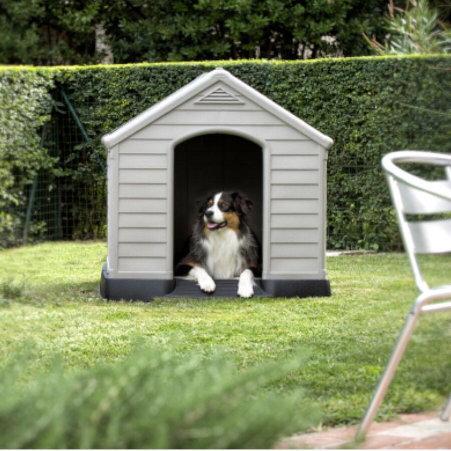 Curver Caseta para perros, , large Imagen numero 1