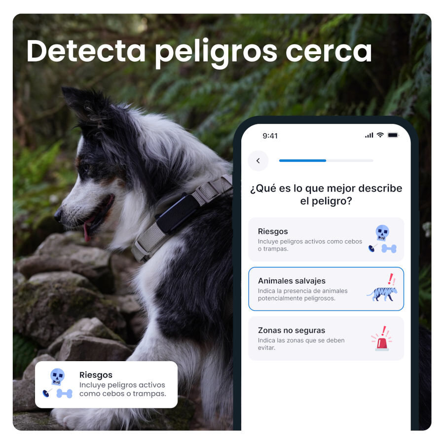 Tractive GPS Dog 6 Menta Rastreador para perros, , large Imagen numero 2