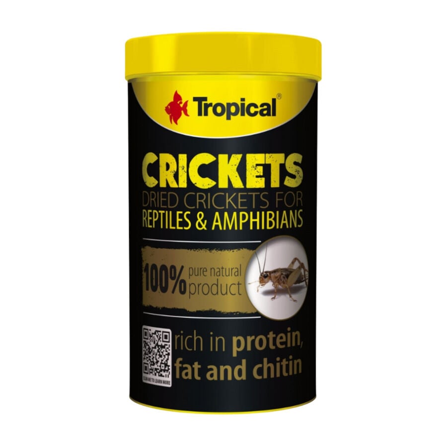 Tropical Crickets alimento para reptiles, , large Imagen numero 1