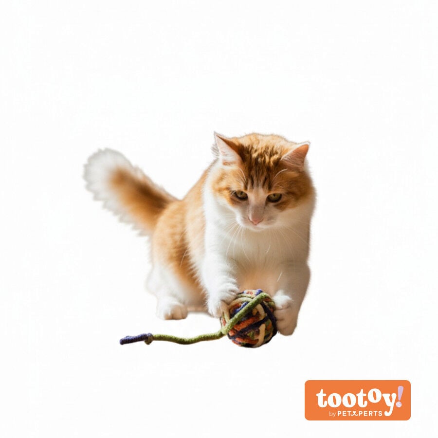 Tootoy! Ovillo de Lana para gatos, , large indicador imagen numero 3