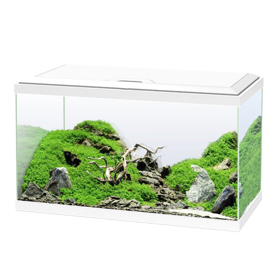 Ciano Aqua Led 60 Blanco acuario con luz led, filtro y calentador, , large indicador imagen numero 1