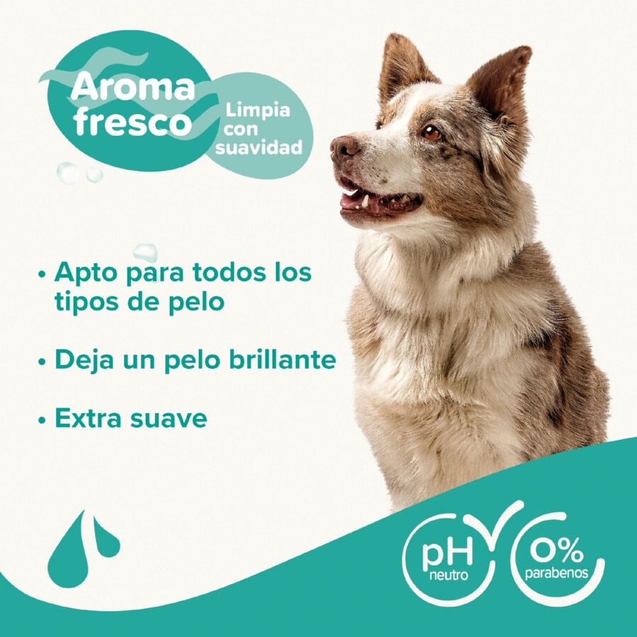 Beaphar Universal Champ&uacute; para perros, , large indicador imagen numero 3