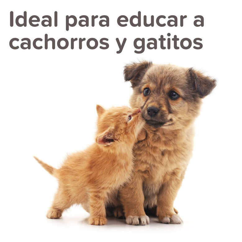 Beaphar Spray Educador para Exterior para perros y gatos, , large indicador imagen numero 5