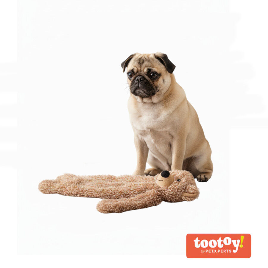 Tootoy! Oso de Peluche con Sonido para perros