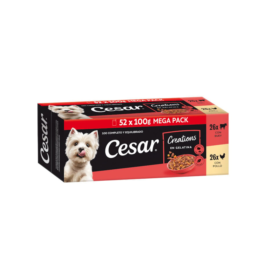 52 sobres x 100 g Cesar Selecci&oacute;n en Gelatina Pollo y Buey sobres para perros - Multipack, , large indicador imagen numero 1
