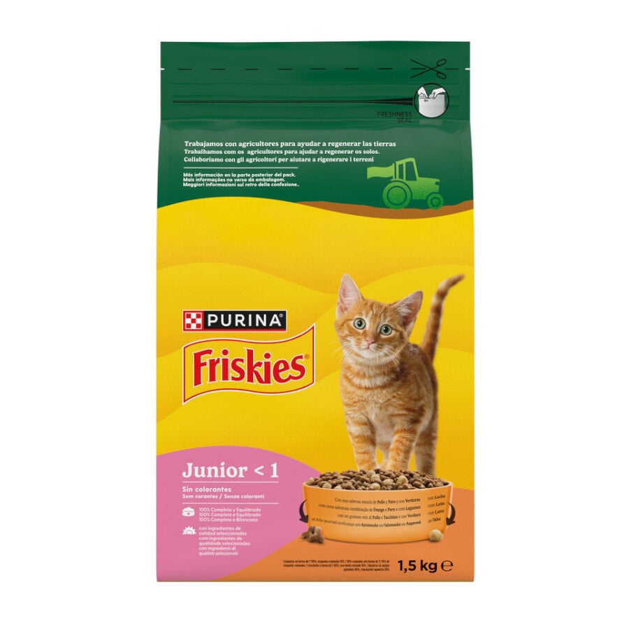 Friskies Junior pienso para gatos