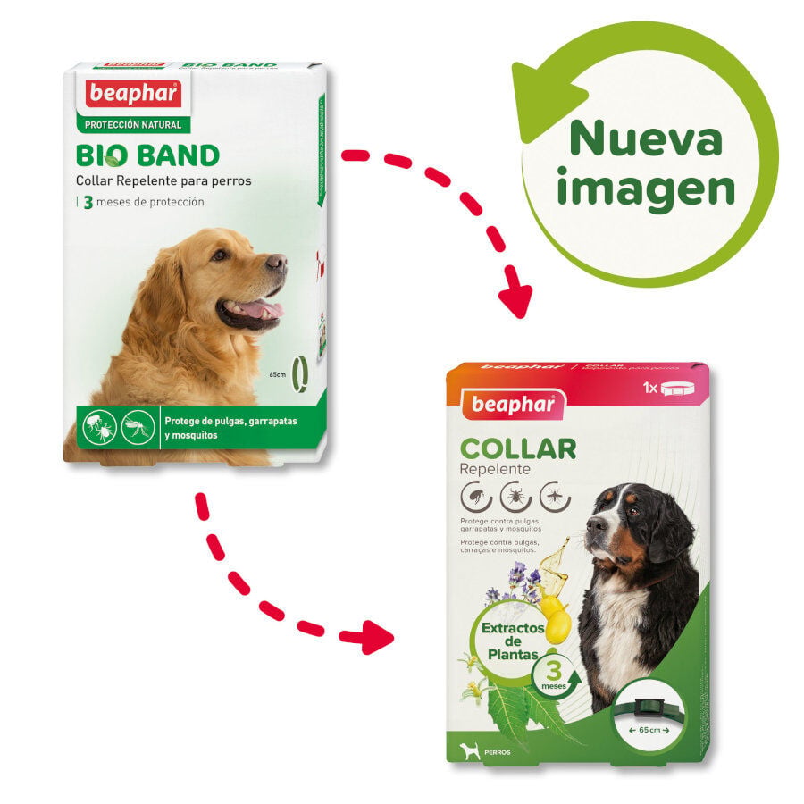 Beaphar Collar repelente para perros, , large Imagen numero 2