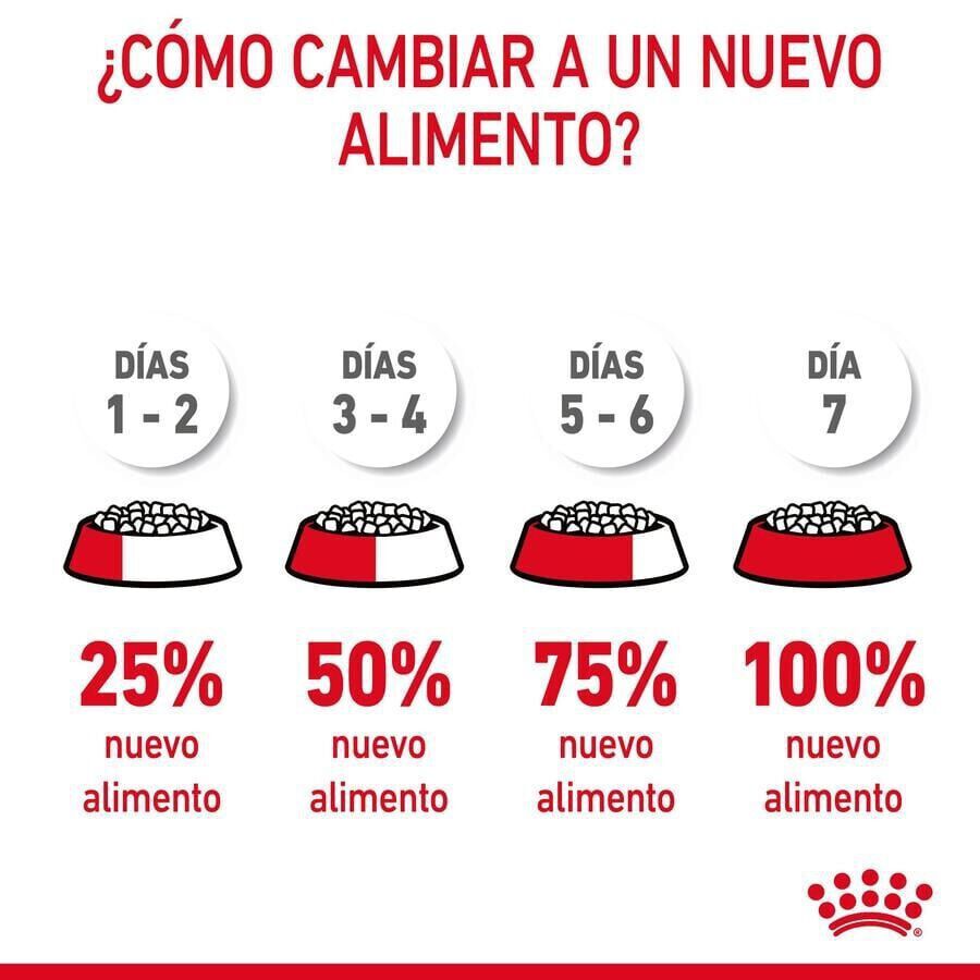 10 kg Royal Canin Adult Digestive pienso para gatos, , large indicador imagen numero 7