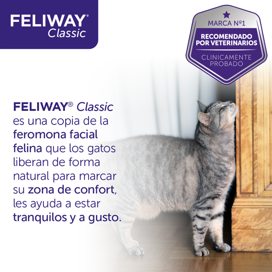 Feliway Spray tranquilizante para gatos, , large Imagen numero 10