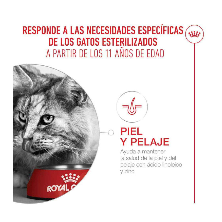 4 kg Royal Canin Ageing 11+ Sterilised pienso para gatos&nbsp;senior, , large indicador imagen numero 5