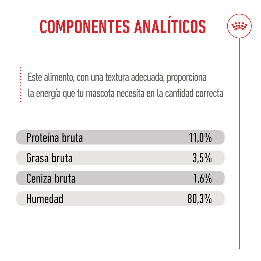 85 g Royal Canin Kitten Sterilised salsa sobre para gatos, , large Imagen numero 9