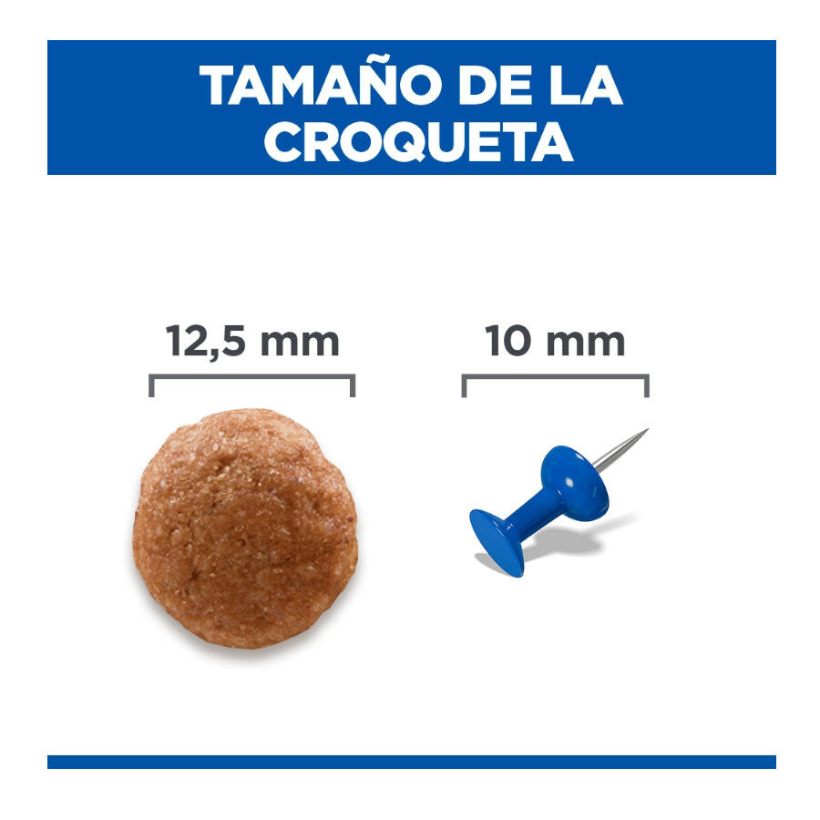 14 kg Hill's Science Plan Perfect Digestion Adult Medium Pollo pienso para perros, , large indicador imagen numero 4
