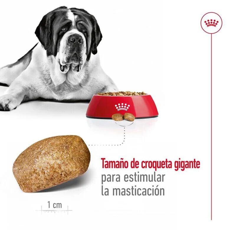 15 kg Royal Canin Giant Adult pienso para perros, , large indicador imagen numero 7