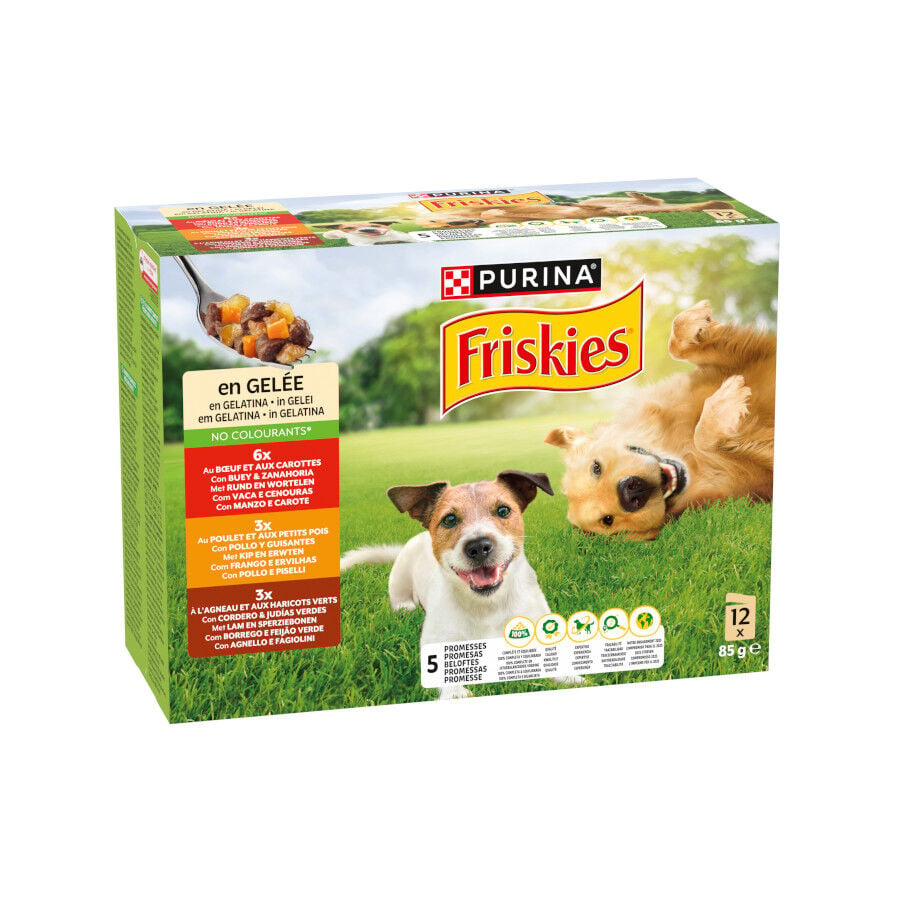 Friskies Pollo y Cordero en Gelatina sobre para perros