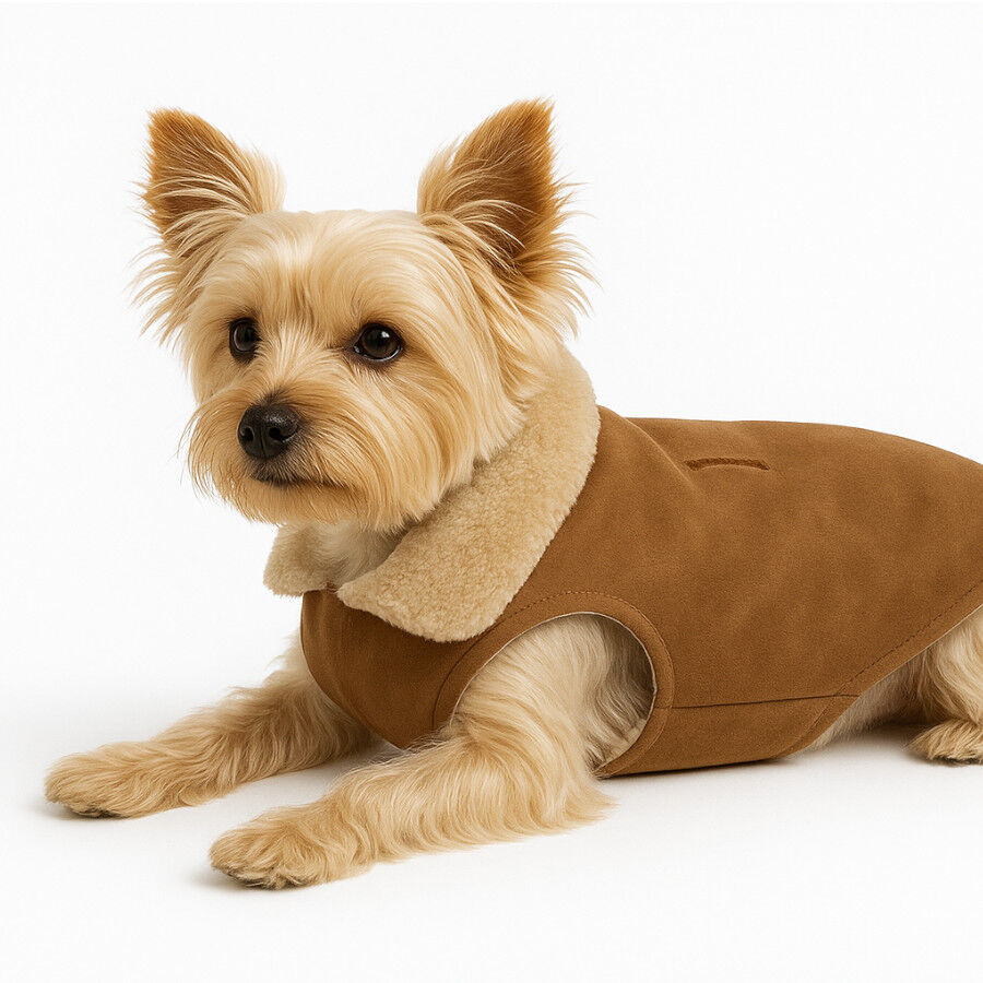Outech Abrigo Impermeable para perros, , large indicador imagen numero 3