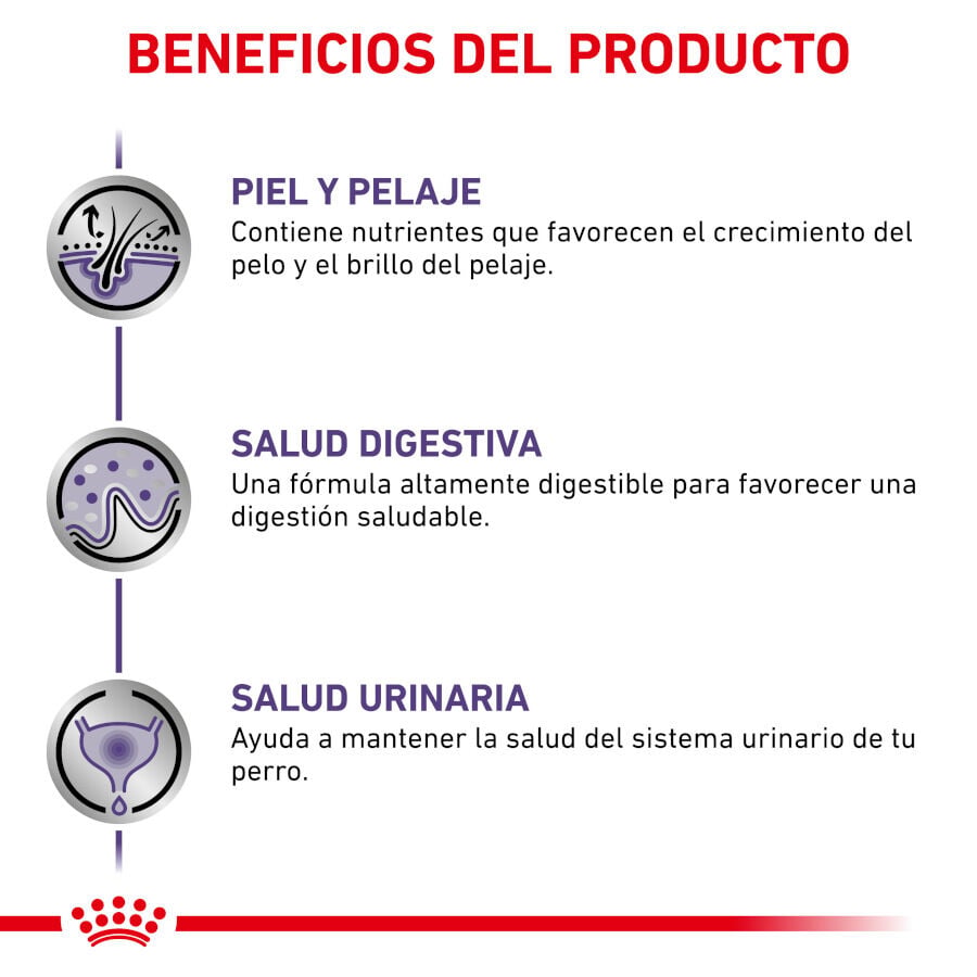 12 sobres x 85 g Royal Canin Expert Adult L&aacute;minas en Salsa sobre para perros, , large indicador imagen numero 3