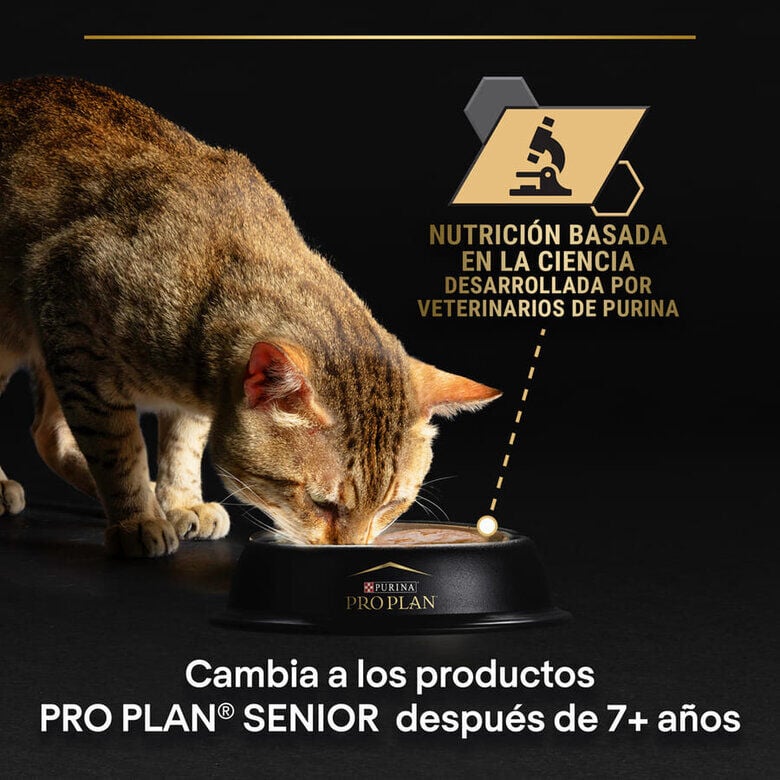 comida humeda gato pro plan delicate nutrisavour pescado indicador imagen numero 5
