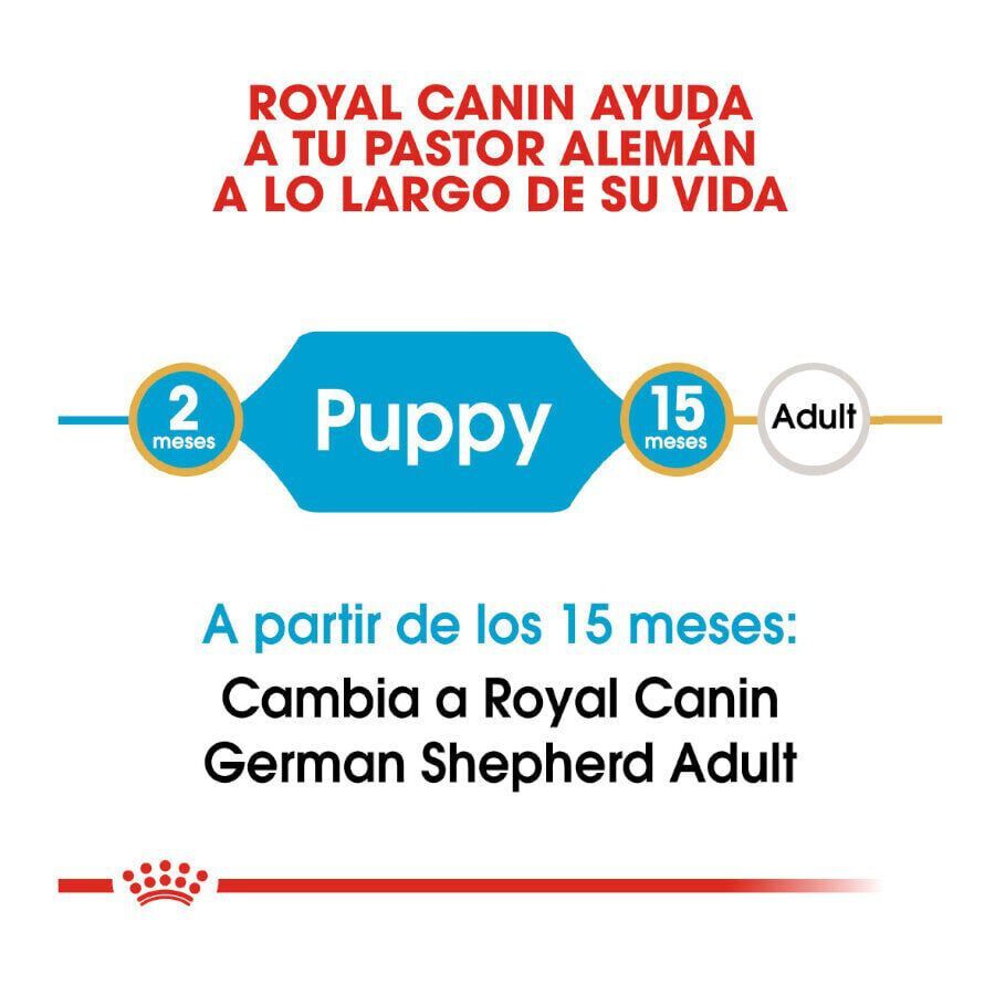 12 kg Royal Canin Puppy Pastor Alem&aacute;n pienso para perros, , large indicador imagen numero 7