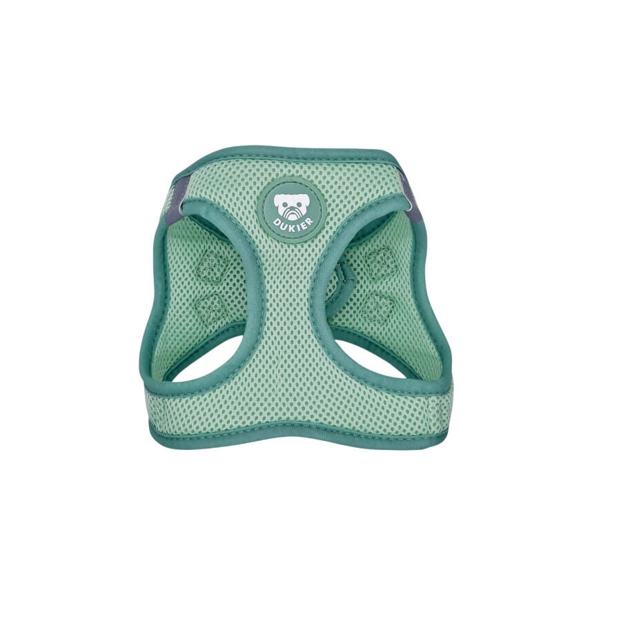 Dukier Body Essential Color Verde para perros