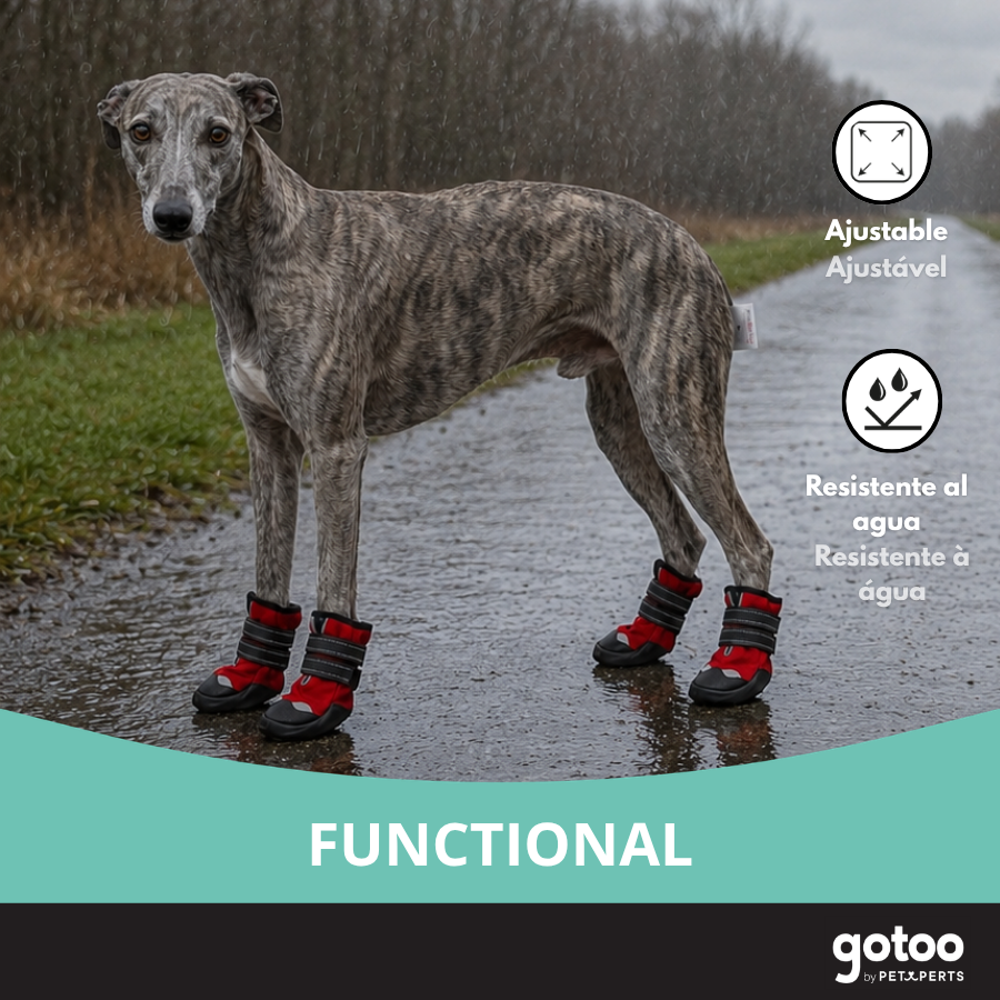 Gotoo Zapatos Rojo y Negro para galgos, , large indicador imagen numero 6