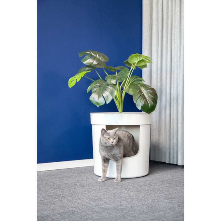 Nova Clean Planter Arenero para gatos, , large indicador imagen numero 5