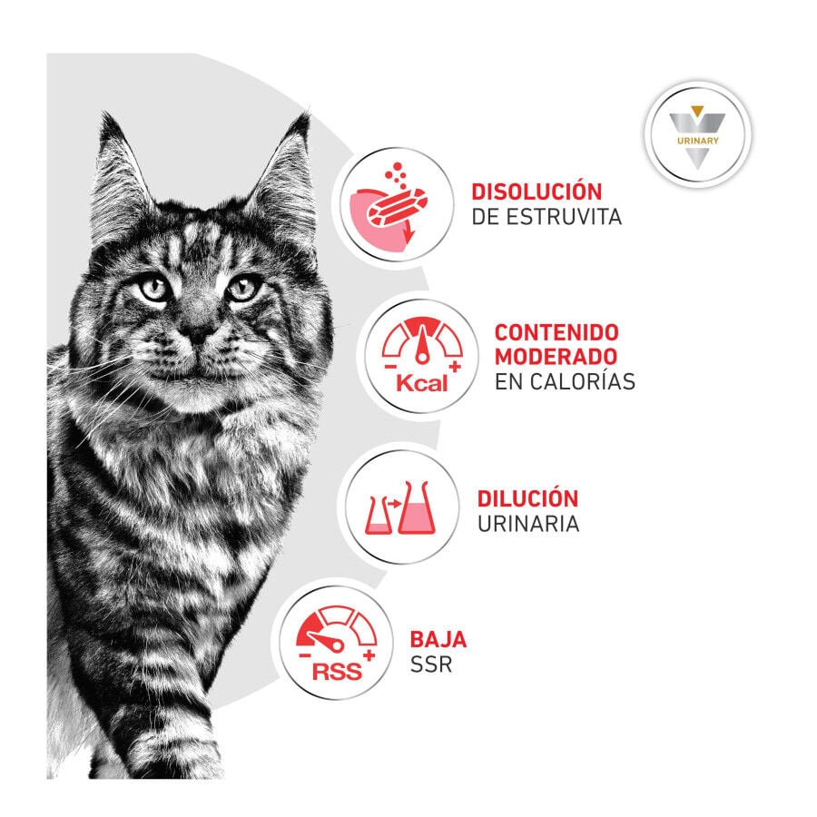 9 kg Royal Canin Veterinary Urinary S/O Moderate Calorie pienso para gatos, , large indicador imagen numero 5