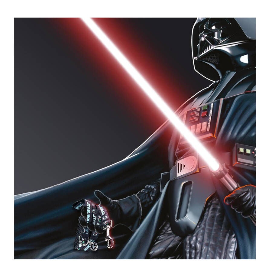Disney Star Wars Correa Estampado para perros, , large indicador imagen numero 4