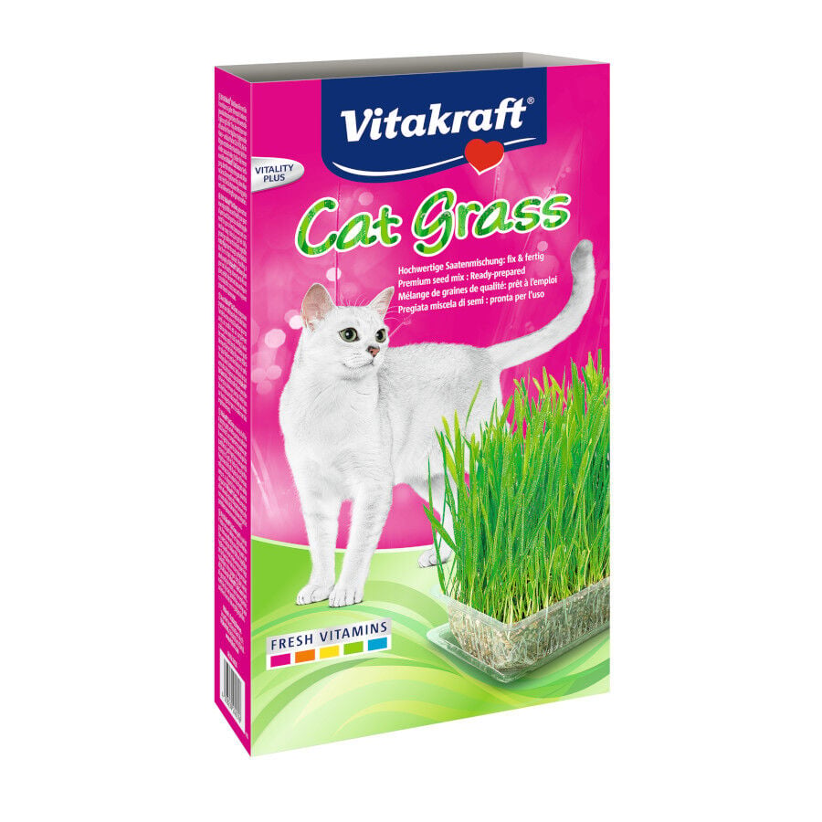 120 g Vitakraft Cat Grass Hierba Gatera, , large Imagen numero 1