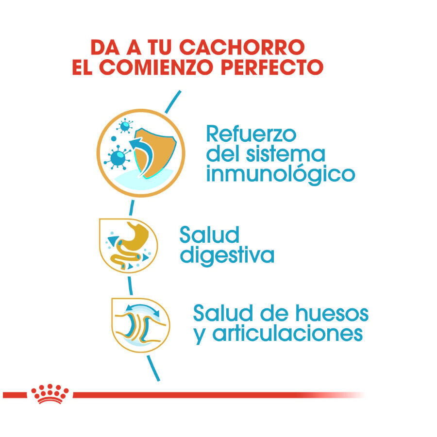12 kg Royal Canin Puppy Bulldog pienso para perros, , large Imagen numero 7