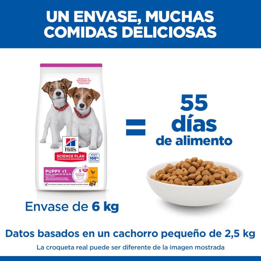 6 kg Hill's Science Plan Puppy Small y Mini Pollo Pienso para cachorros, , large Imagen numero 6