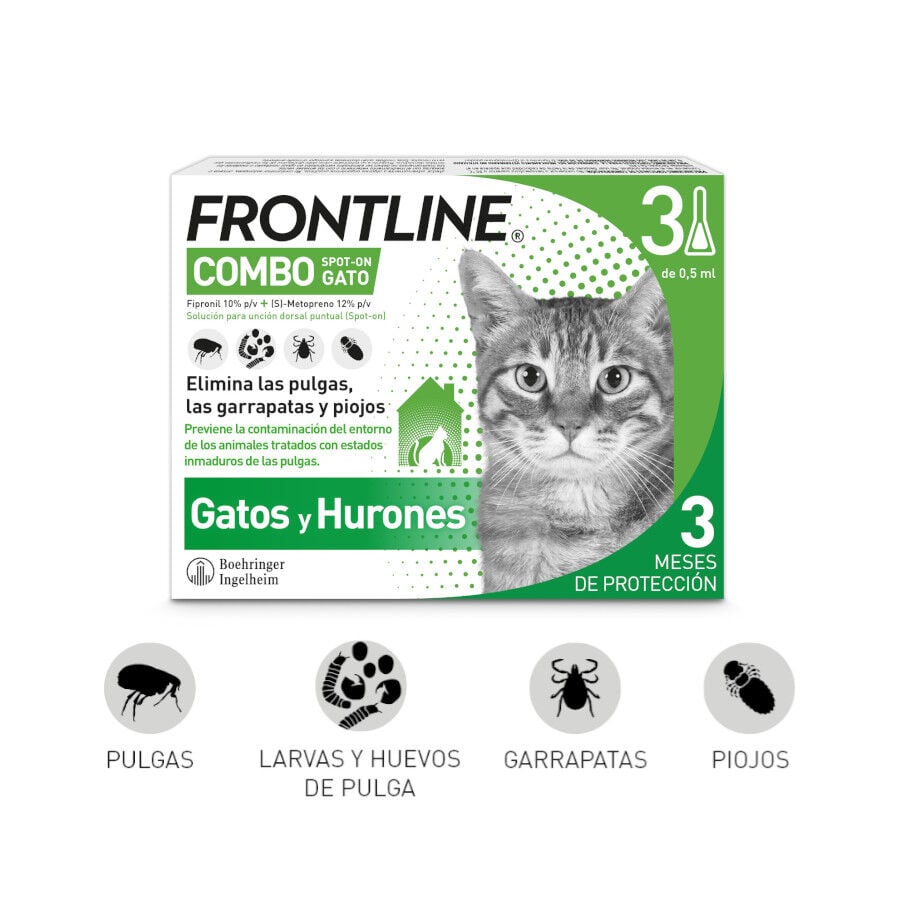 Frontline Combo Pipetas Antiparasitarias para gatos y hurones