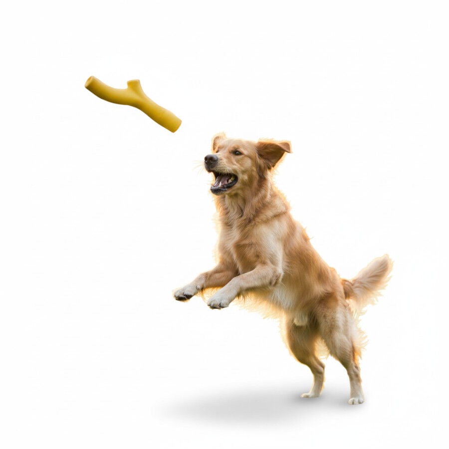 BECO Mordedor de Goma Amarillo para perros, , large Imagen numero 6