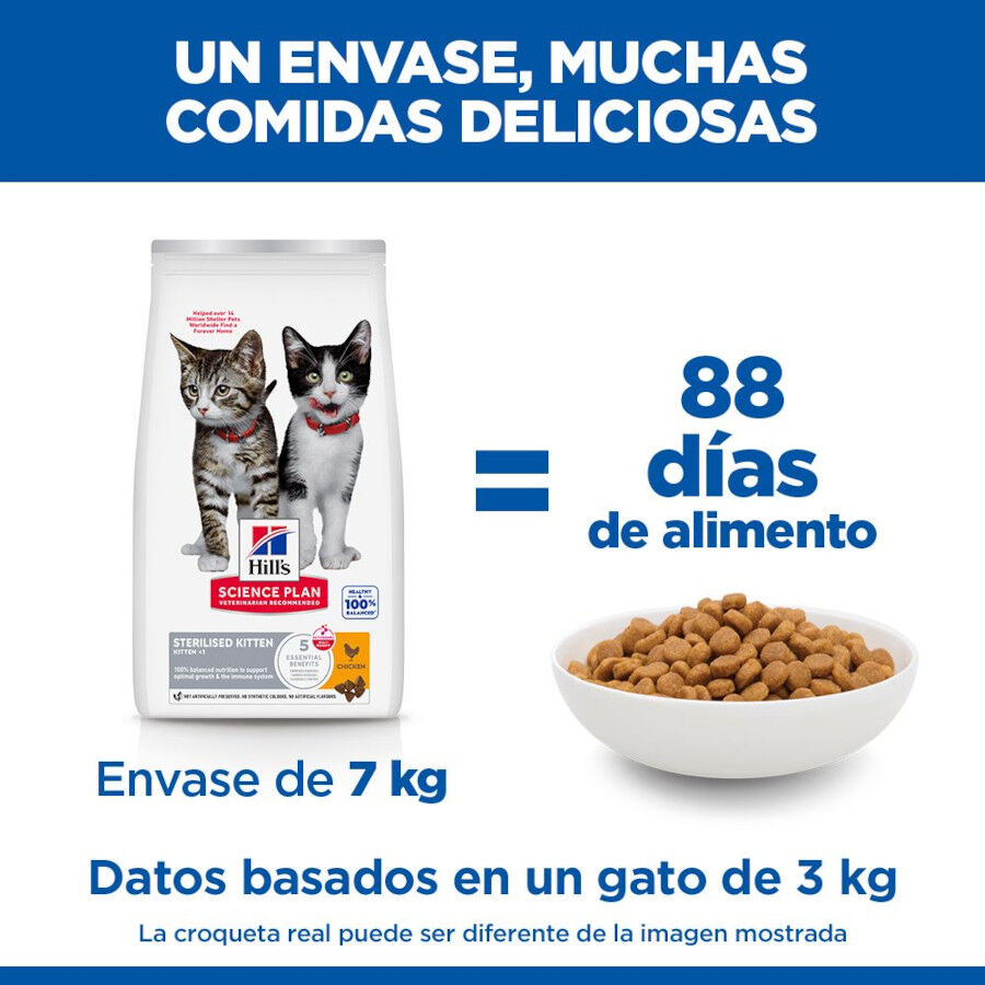 3 kg Hill's Science Plan Sterilised Kitten Pollo pienso para gatos, , large indicador imagen numero 6