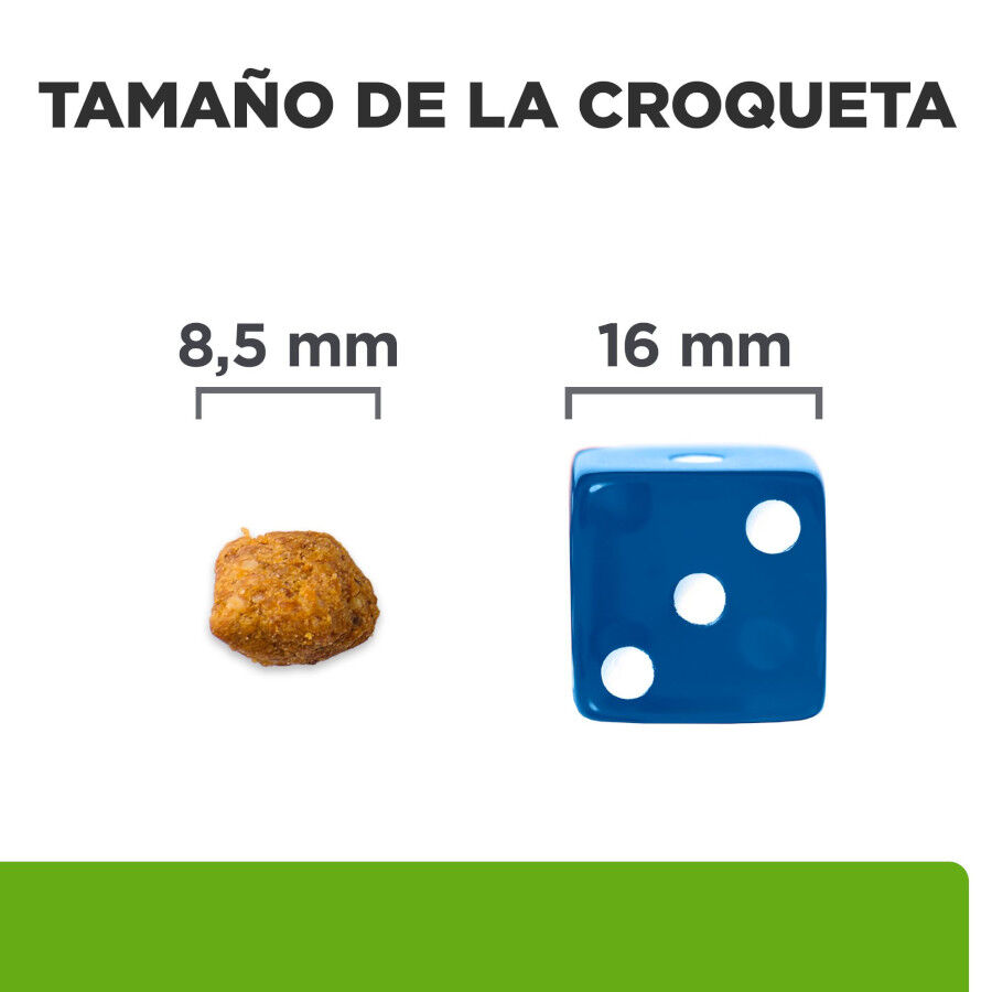 8 kg Hill's Prescription Diet Metabolic Salm&oacute;n pienso para gatos, , large Imagen numero 5