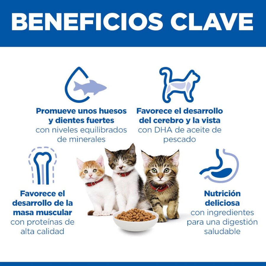 7 kg Hill's Science Plan Kitten Pollo pienso para gatos, , large indicador imagen numero 4